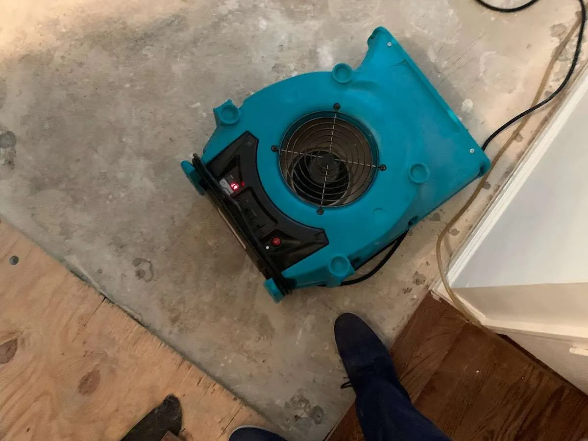 Air mover drying subfloor during Commercial Water Damage Restoration in Bloomington